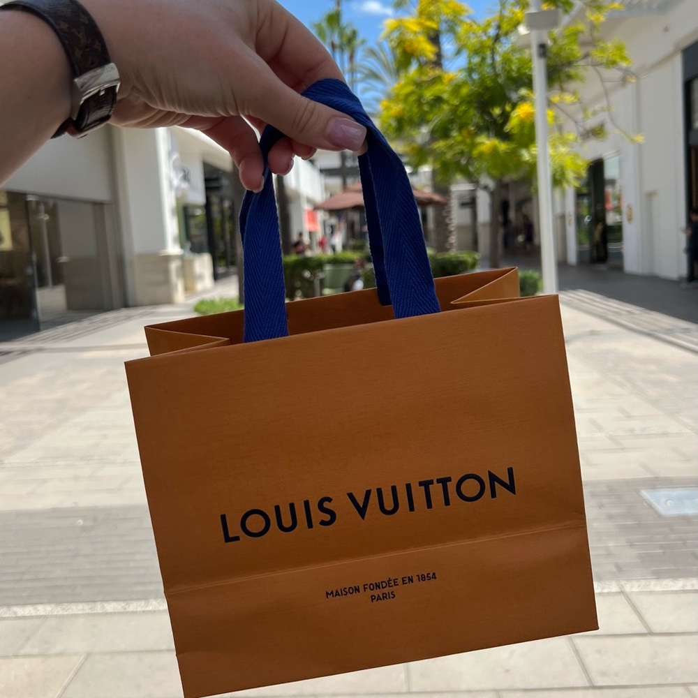 Louis Vuitton shopping bag